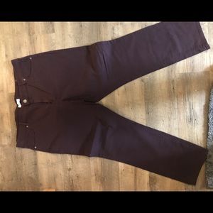Purple Loft Jeans